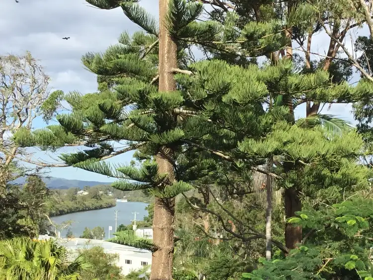Fourth view of Homely house listing, 34 Bellwood Drive, Nambucca Heads NSW 2448