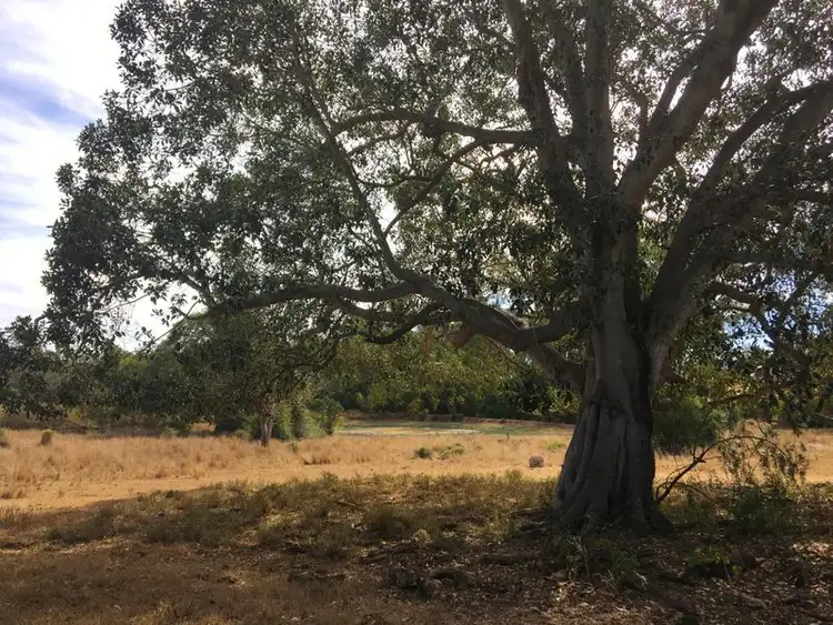 Sixth view of Homely rural property listing, 142 Blanchs Road, Proston QLD 4613