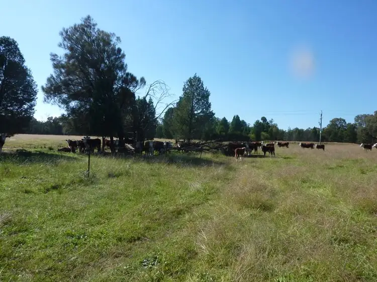 Fifth view of Homely land listing, Lot 181 Westella Road Wongarbon, Wongarbon NSW 2831