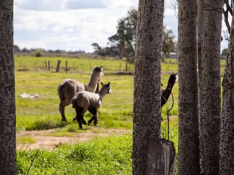 Third view of Homely rural property listing, 3072 McEwen Rd, Stanhope VIC 3623