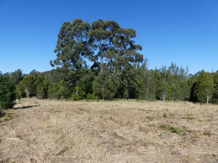 Fourth view of Homely land listing, 21 Greys Road, Failford NSW 2430