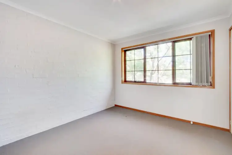 Fifth view of Homely apartment listing, 3/11 Flack Street, Holt ACT 2615