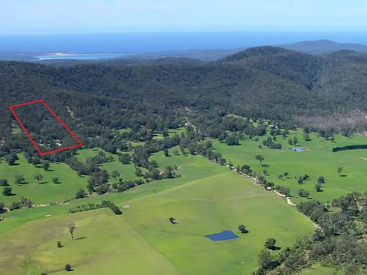 285 Frogs Hollow Lane, Bega NSW 2550