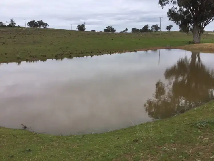 Fourth view of Homely land listing, 84 Cultowa Lane, Canowindra NSW 2804