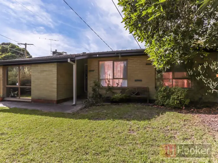Second view of Homely house listing, 31 Pope Avenue, Boronia VIC 3155