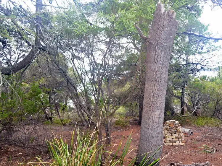 Fifth view of Homely land listing, 426 Freycinet Drive, Coles Bay TAS 7215