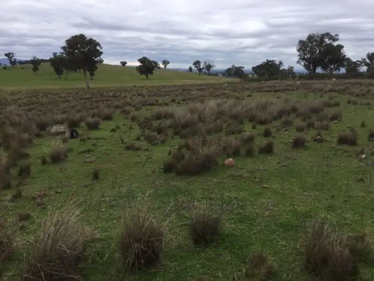 Sixth view of Homely land listing, 84 Cultowa Lane, Canowindra NSW 2804