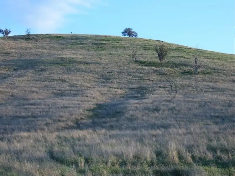 Third view of Homely land listing, 177 Wianamatta Road, Canowindra NSW 2804