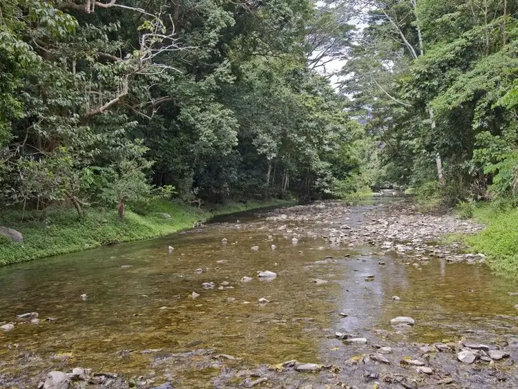 Second view of Homely land listing, Lot/22 Mowbray River Road, Port Douglas QLD 4877