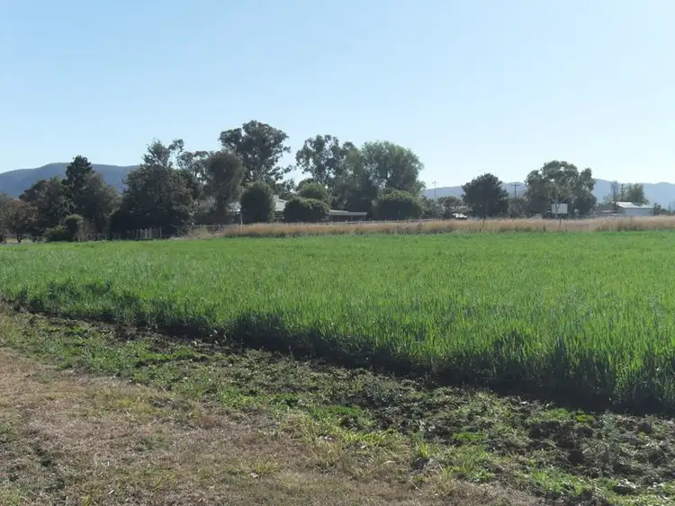 Seventh view of Homely rural property listing, 208a Markeys Lane, Yangan QLD 4371