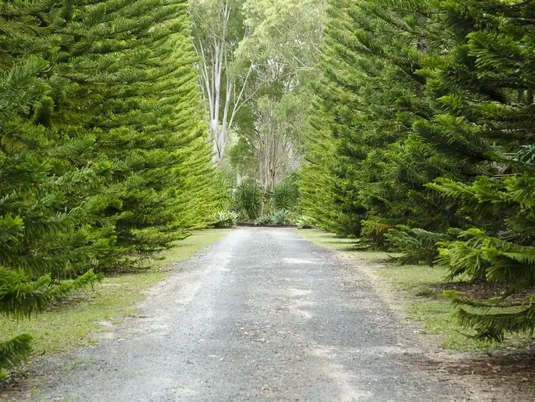 Fifth view of Homely house listing, 41 Lake Vista Drive, Peregian Beach QLD 4573