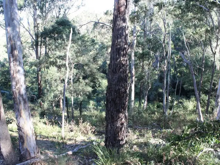 Sixth view of Homely land listing, 222 Hore Laceys Road, Quaama NSW 2550