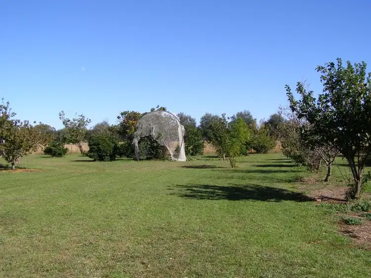 Sixth view of Homely rural property listing, 40 Hills Lane, Inverell NSW 2360