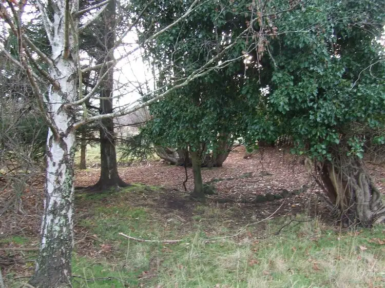 Fifth view of Homely land listing, 71 Talbot St, Fingal TAS 7214