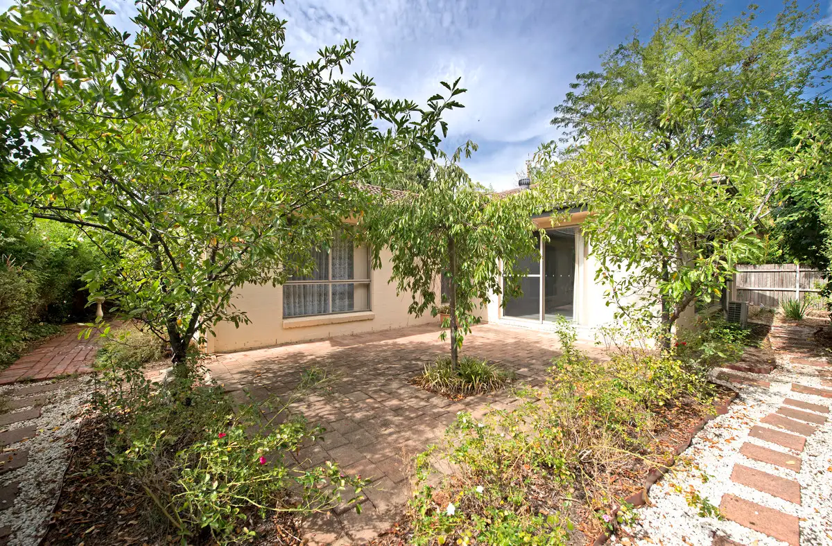 Main view of Homely townhouse listing, 28 B Molesworth Street, Watson ACT 2602