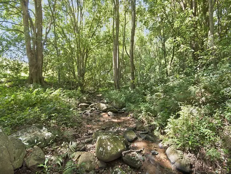 Sixth view of Homely rural property listing, 41 Gibsons Road, Alstonville NSW 2477