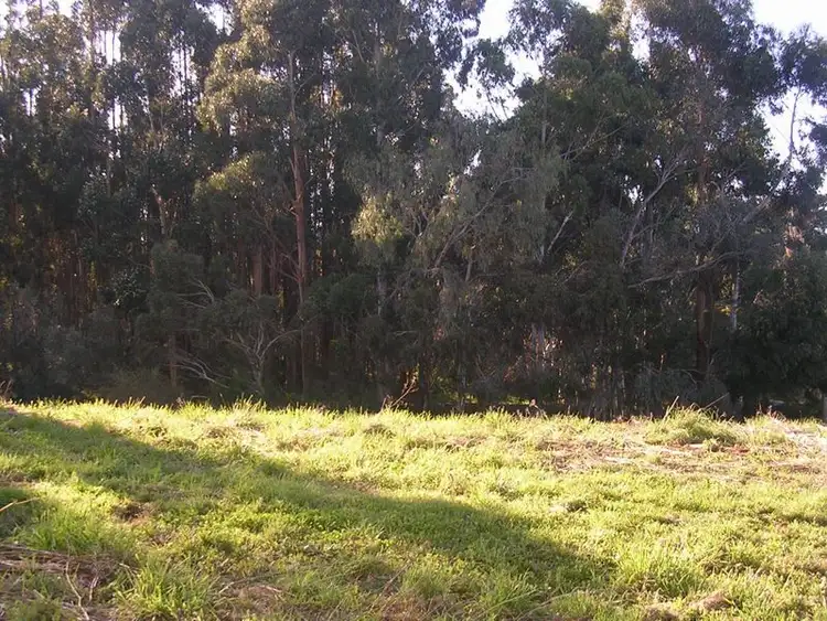 Second view of Homely land listing, 14 Searle Street, Macclesfield SA 5153