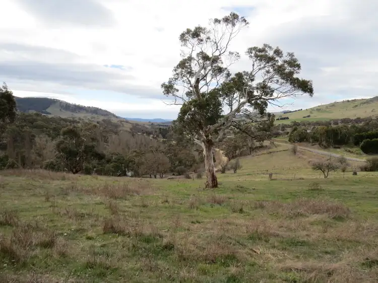 56 Day Avenue, Omeo VIC 3898