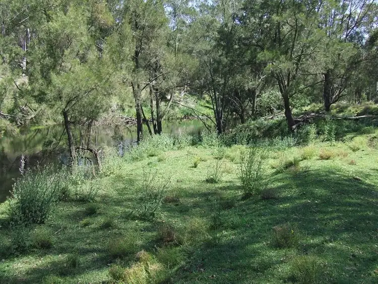 Fourth view of Homely rural property listing, Warrigal Mt Lindesay Road, Legume NSW 2476