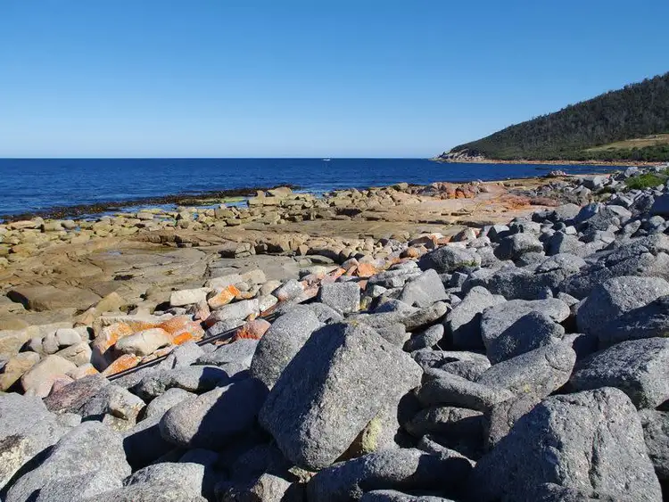Fifth view of Homely land listing, 315 Harveys Farm Road, Bicheno TAS 7215