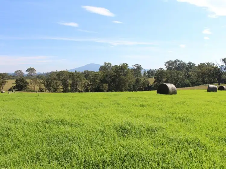 Third view of Homely land listing, 10970 Princes Highway, Cobargo NSW 2550