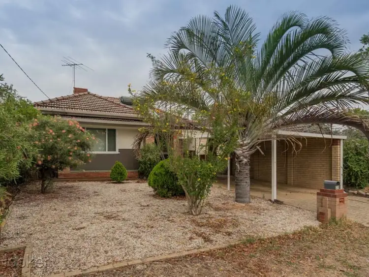 Fourth view of Homely house listing, 31 Kitchener Avenue, Bayswater WA 6053