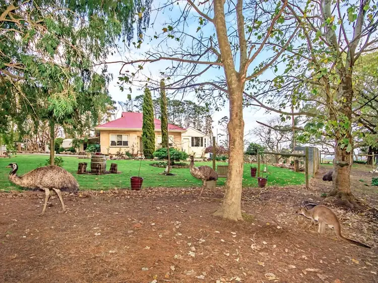 Third view of Homely rural property listing, 1195 James Track, Myponga SA 5202