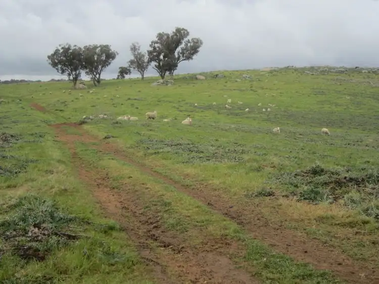 Sixth view of Homely rural property listing, 625 Tubbul Road, Young NSW 2594
