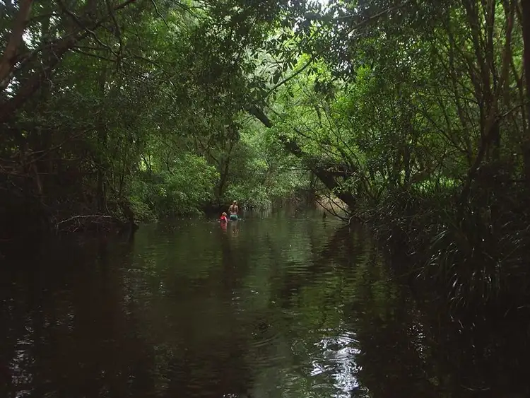 Second view of Homely rural property listing, Address available on request