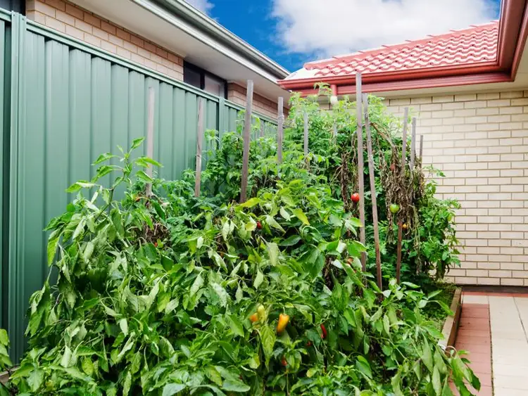 Fourth view of Homely house listing, 14 Evergreen Court, Aldinga Beach SA 5173
