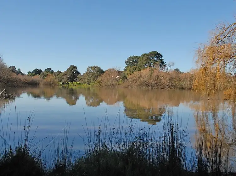 Fourth view of Homely land listing, Lot 3 Bridge Street, Drysdale VIC 3222