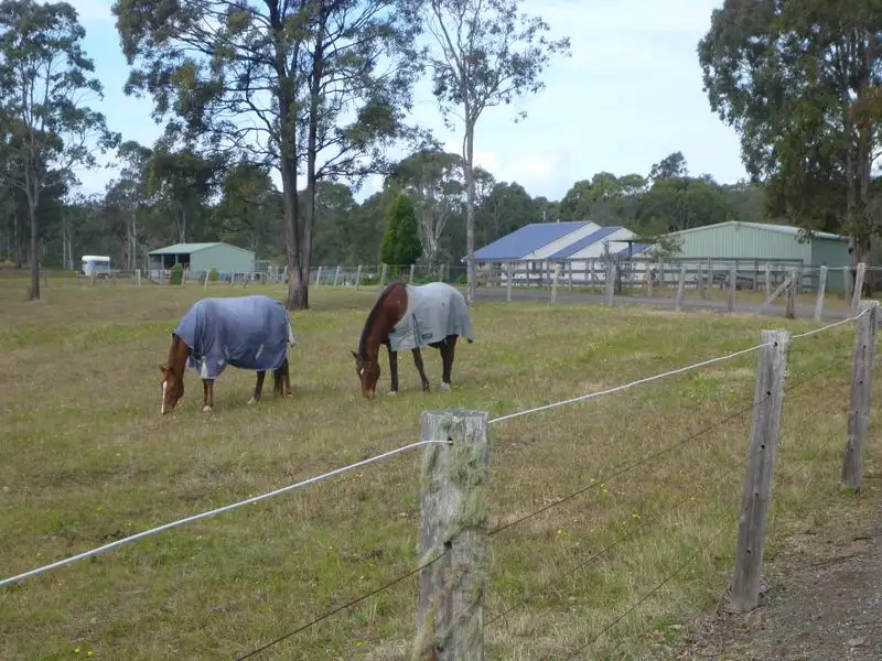 Main view of Homely rural property listing, 149 Pindimar Road, Tea Gardens NSW 2324