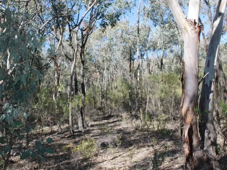 Third view of Homely rural property listing, Lot 3 Silent Grove Rd, Torrington NSW 2371