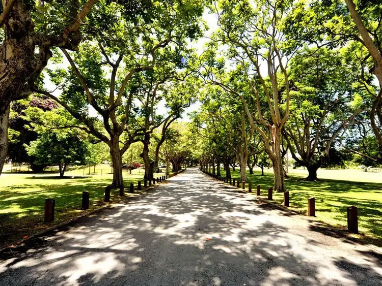 Third view of Homely other listing, 44 Keats Street, Cannon Hill QLD 4170