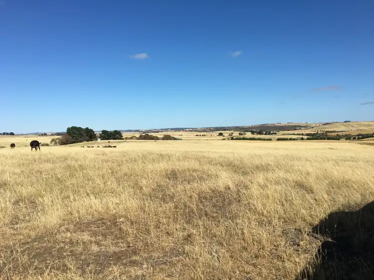 Fourth view of Homely rural property listing, 192 St Stephens Road, Goulburn NSW 2580