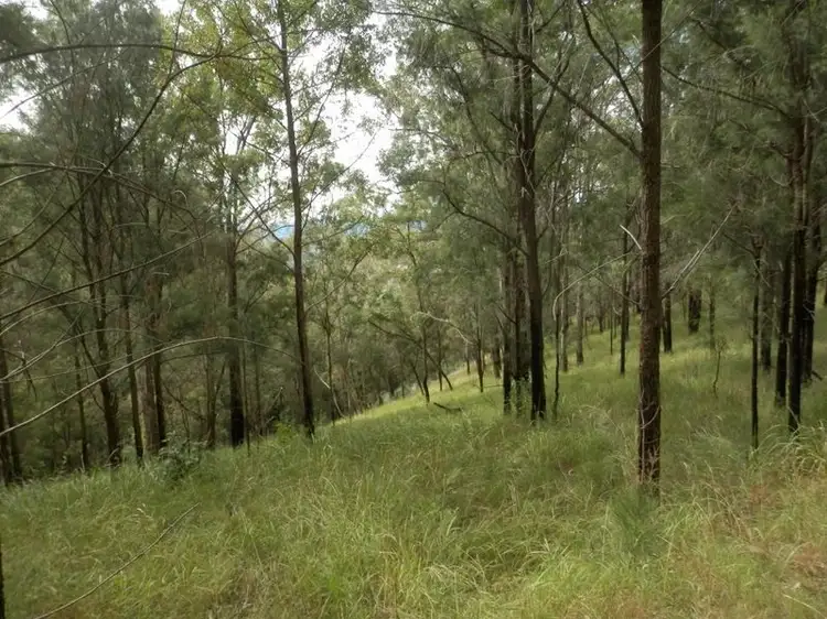 Second view of Homely rural property listing, Lot 8 Ogilvie Drive, Tabulam NSW 2469
