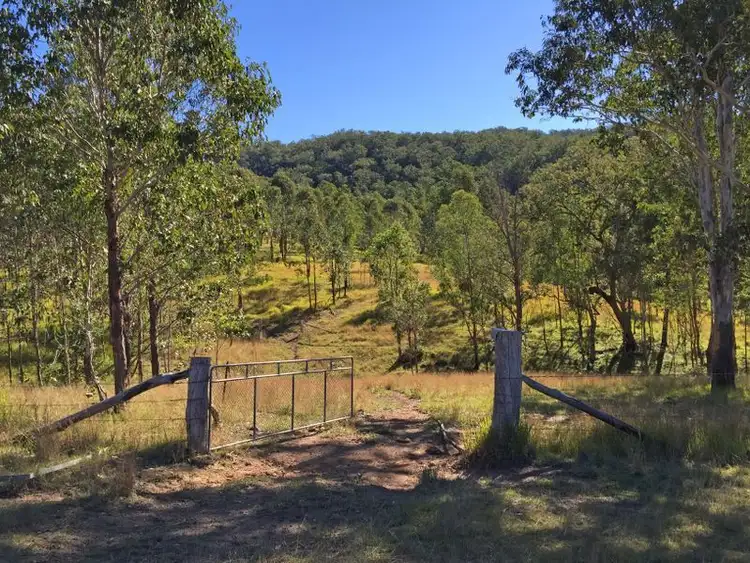 Seventh view of Homely rural property listing, 4900 Nowendoc Road, Wingham NSW 2429