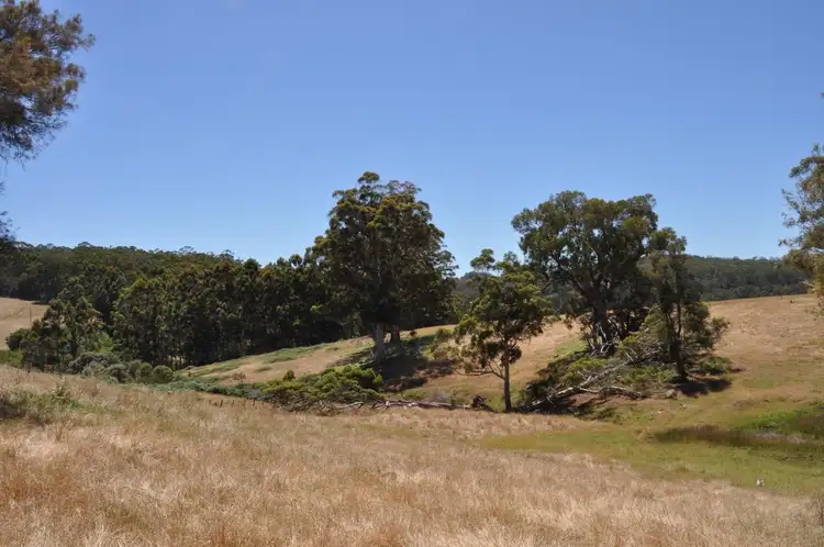 Sixth view of Homely rural property listing, Lot 26 Vasse Highway, Pemberton WA 6260