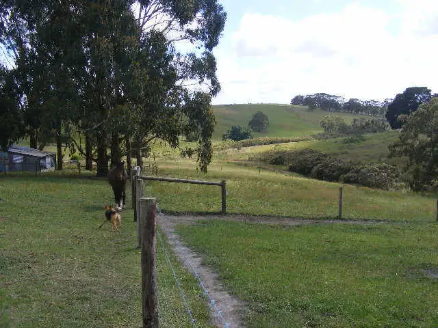 Seventh view of Homely rural property listing, 185 Shorts Road, Elliminyt VIC 3250