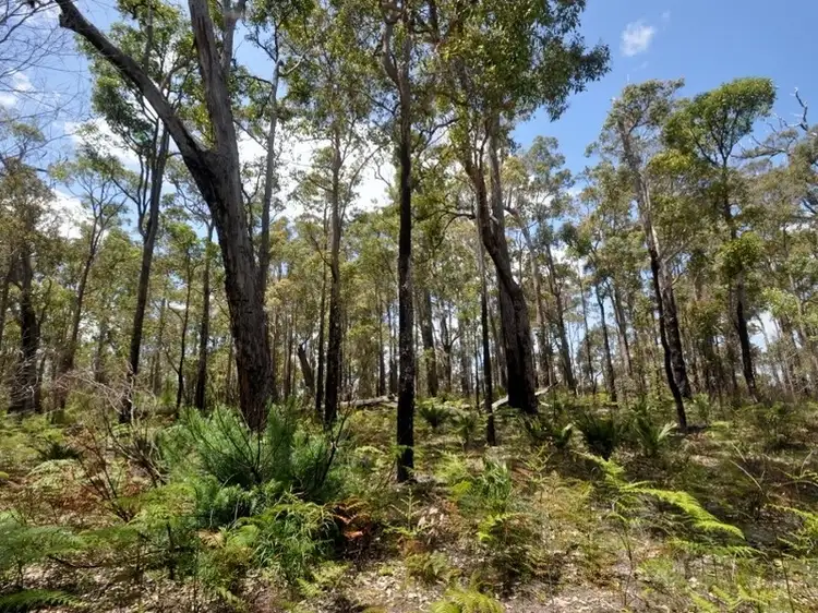 Lot 43 Karri Lane, Quinninup WA 6258
