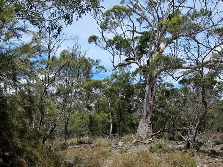 Third view of Homely land listing, Lilla/Villa Tasman Highway, Bicheno TAS 7215