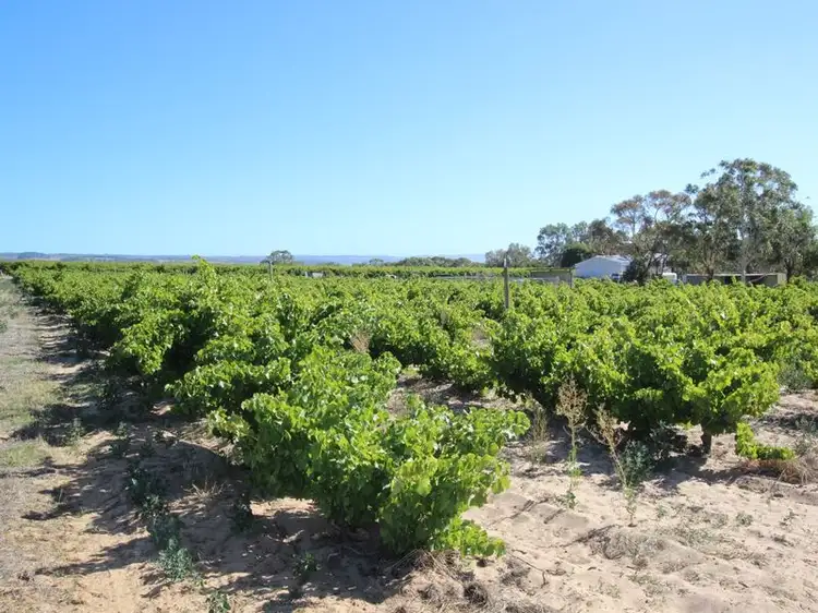 Fourth view of Homely house listing, 20 McLaren Flat Road, Mclaren Flat SA 5171