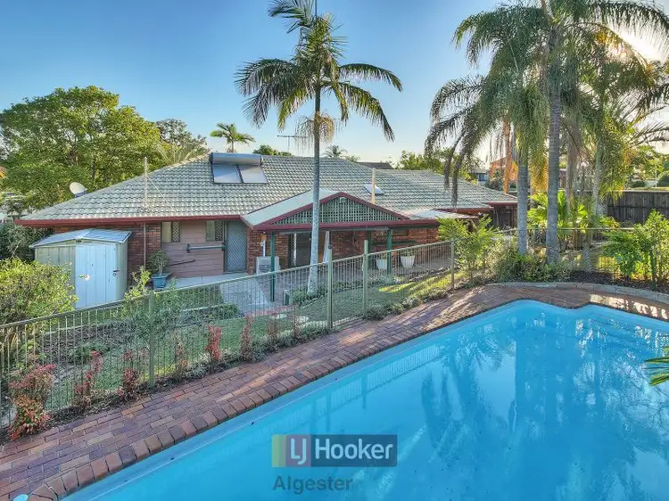 Main view of Homely house listing, 20 Bridelia Street, Algester QLD 4115