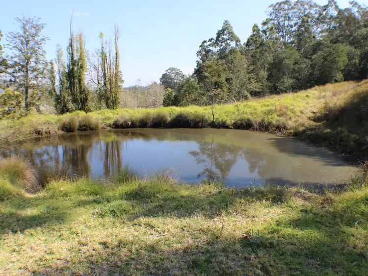 Sixth view of Homely rural property listing, 95 Sandiland Street, Mallanganee NSW 2469