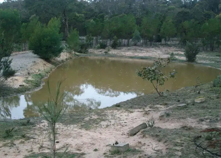 Fifth view of Homely rural property listing, Lot 246 Fernleigh Close, Windellama NSW 2580