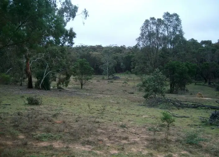 Seventh view of Homely rural property listing, Lot 246 Fernleigh Close, Windellama NSW 2580