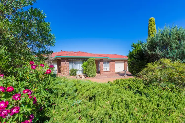 Fifth view of Homely house listing, 51 Bimberi Crescent, Palmerston ACT 2913