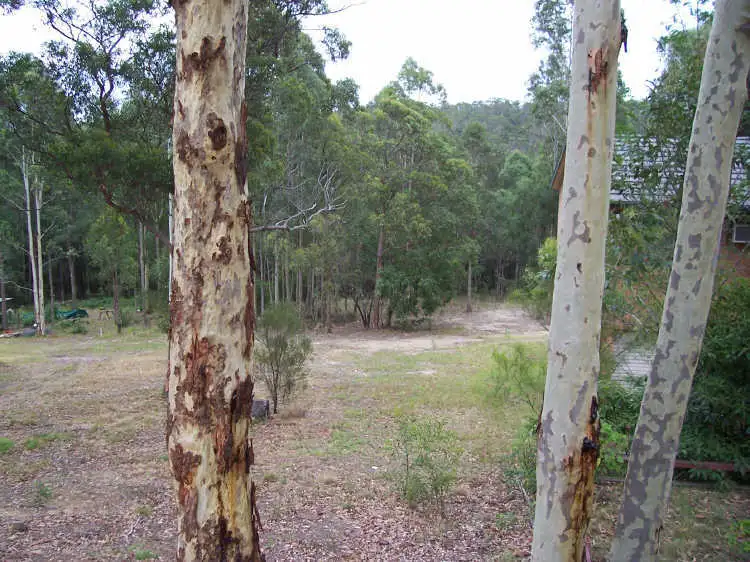25 Palana Street, Surfside NSW 2536
