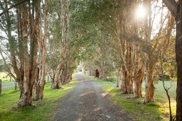 Second view of Homely rural property listing, 35 Narrung Place, Oxley Island NSW 2430