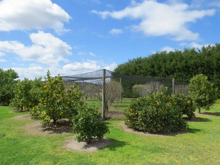 Fourth view of Homely house listing, 70 Swan Reach Road, Swan Reach VIC 3903